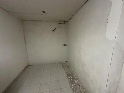 IMG 0231