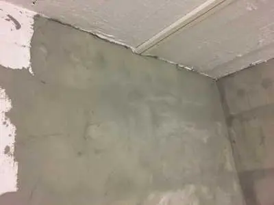 IMG 1267