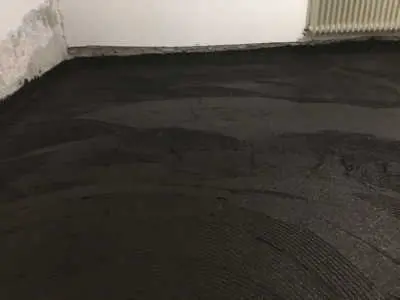 IMG 1979