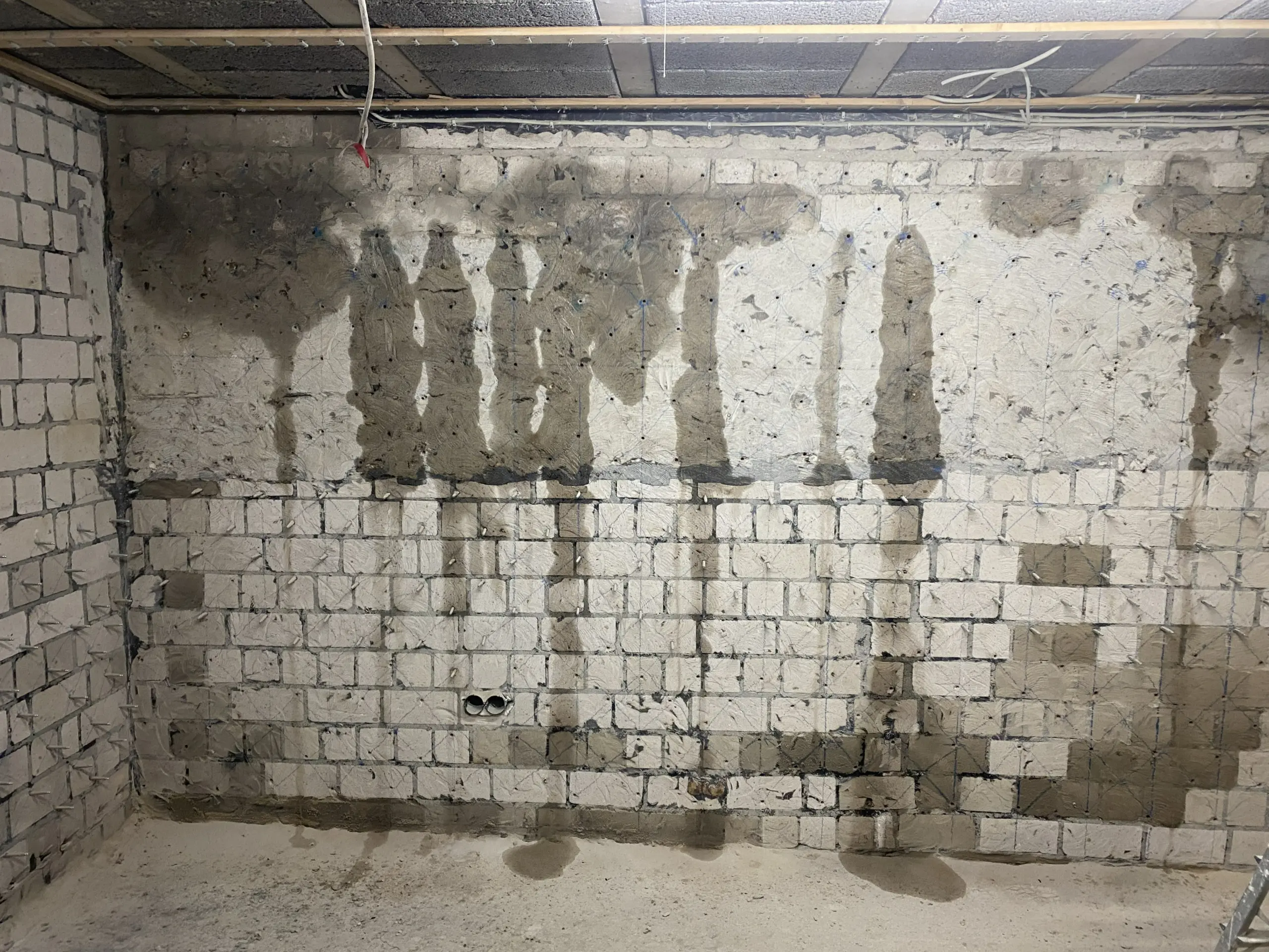 IMG 2393