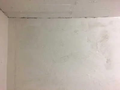 IMG 7569