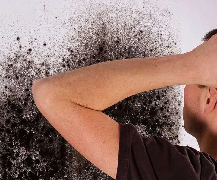 Header Schimmelpilz V2